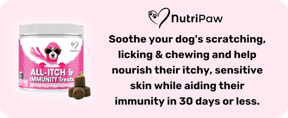 PawBloom™ Itch & Immunity Chews