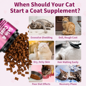PawBloom™ VitalCore Chews