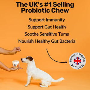 PawBloom™ GutBalance Bites
