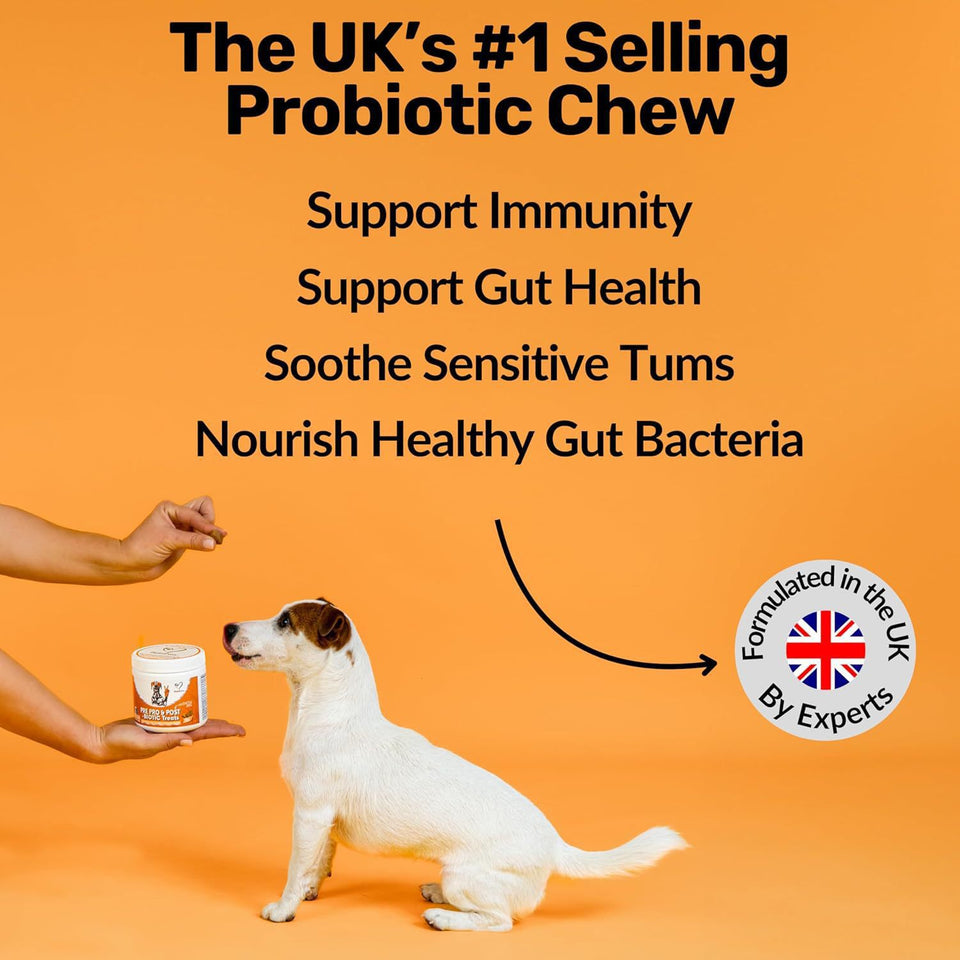 PawBloom™ GutBalance Bites