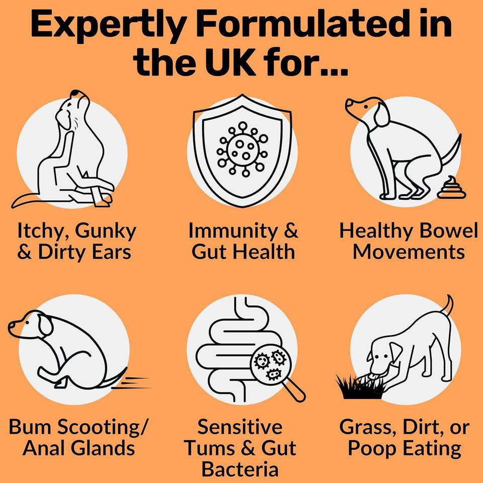 PawBloom™ GutBalance Bites