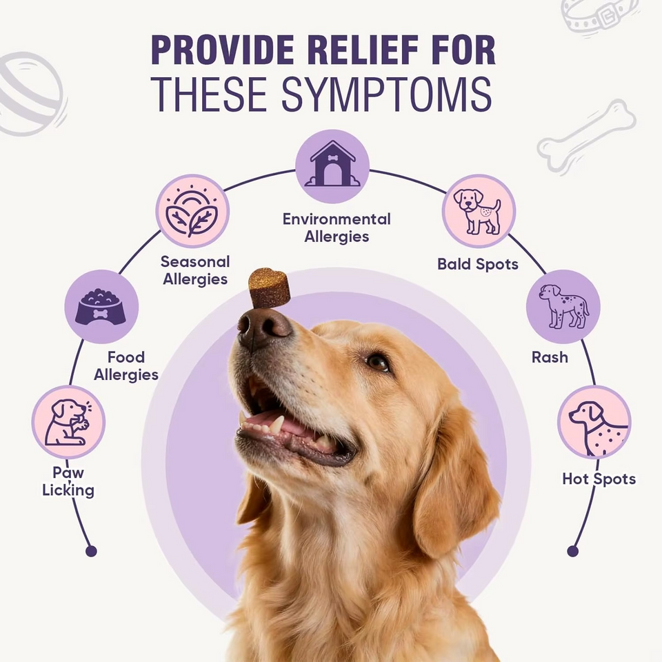 PawBloom™ SkinEase Chews