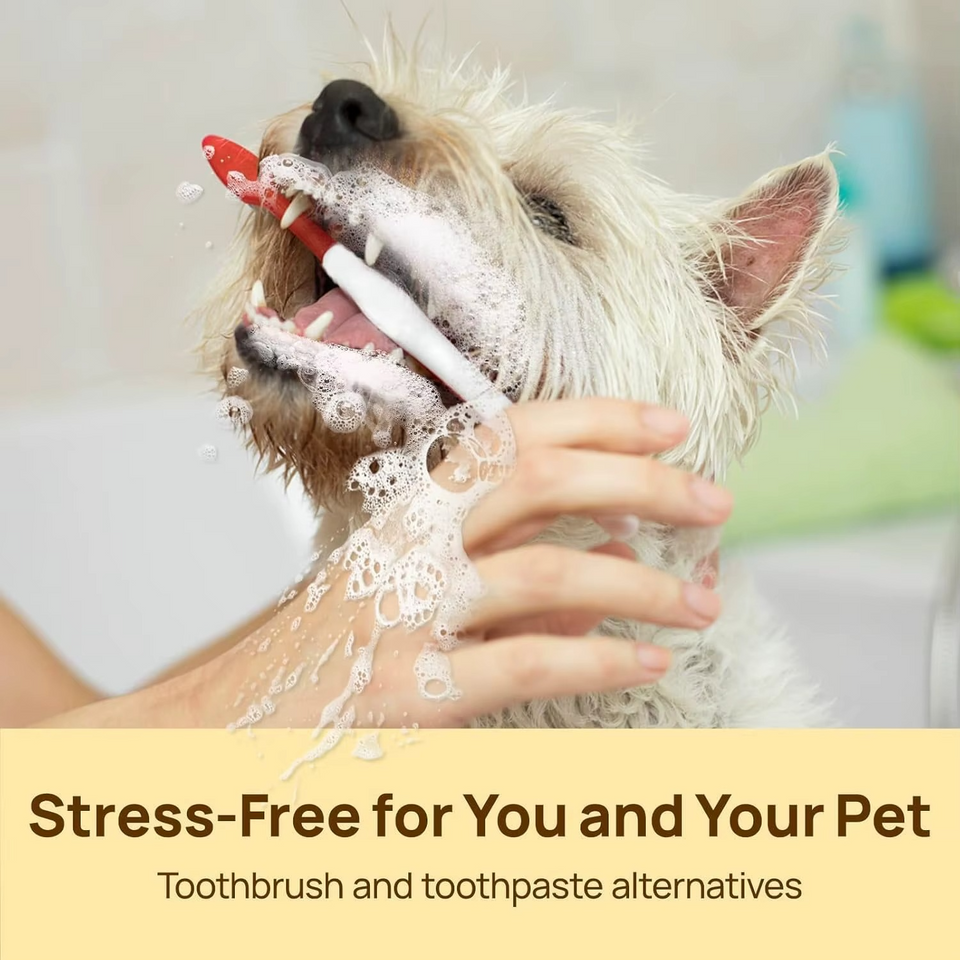 PawBloom™ BrightBite Wipes