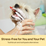 PawBloom™ BrightBite Wipes