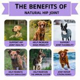 PawBloom™ FlexStride Chews