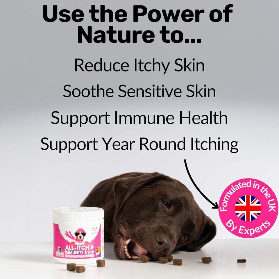 PawBloom™ Itch & Immunity Chews