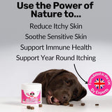 PawBloom™ Itch & Immunity Chews