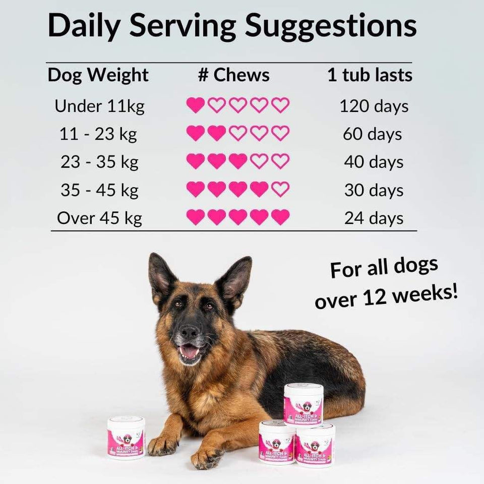 PawBloom™ Itch & Immunity Chews
