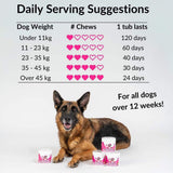 PawBloom™ Itch & Immunity Chews