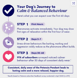 PawBloom CalmLink™