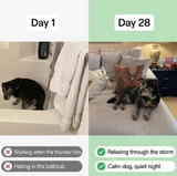 PawBloom CalmLink™