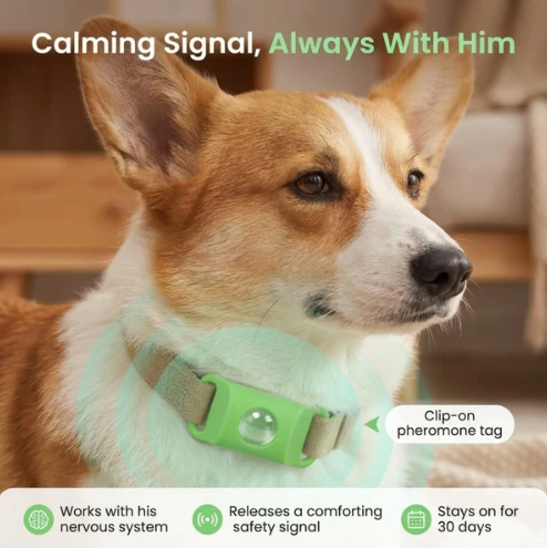 PawBloom CalmLink™